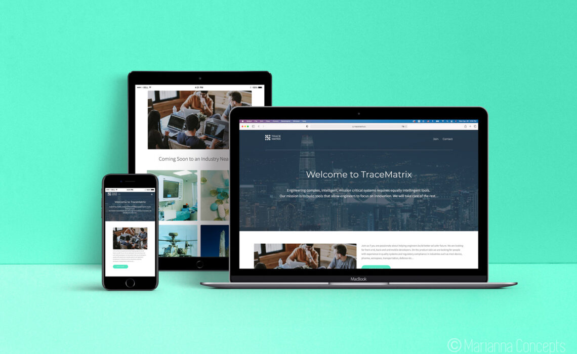 Trace Matrix Web Site Design